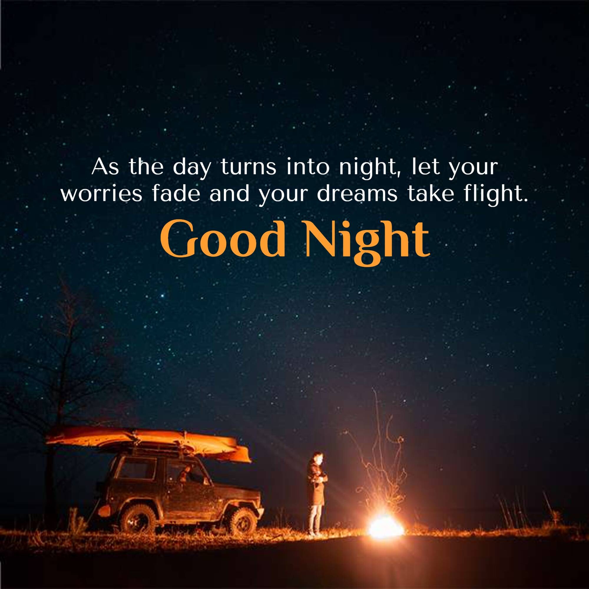 Good Night