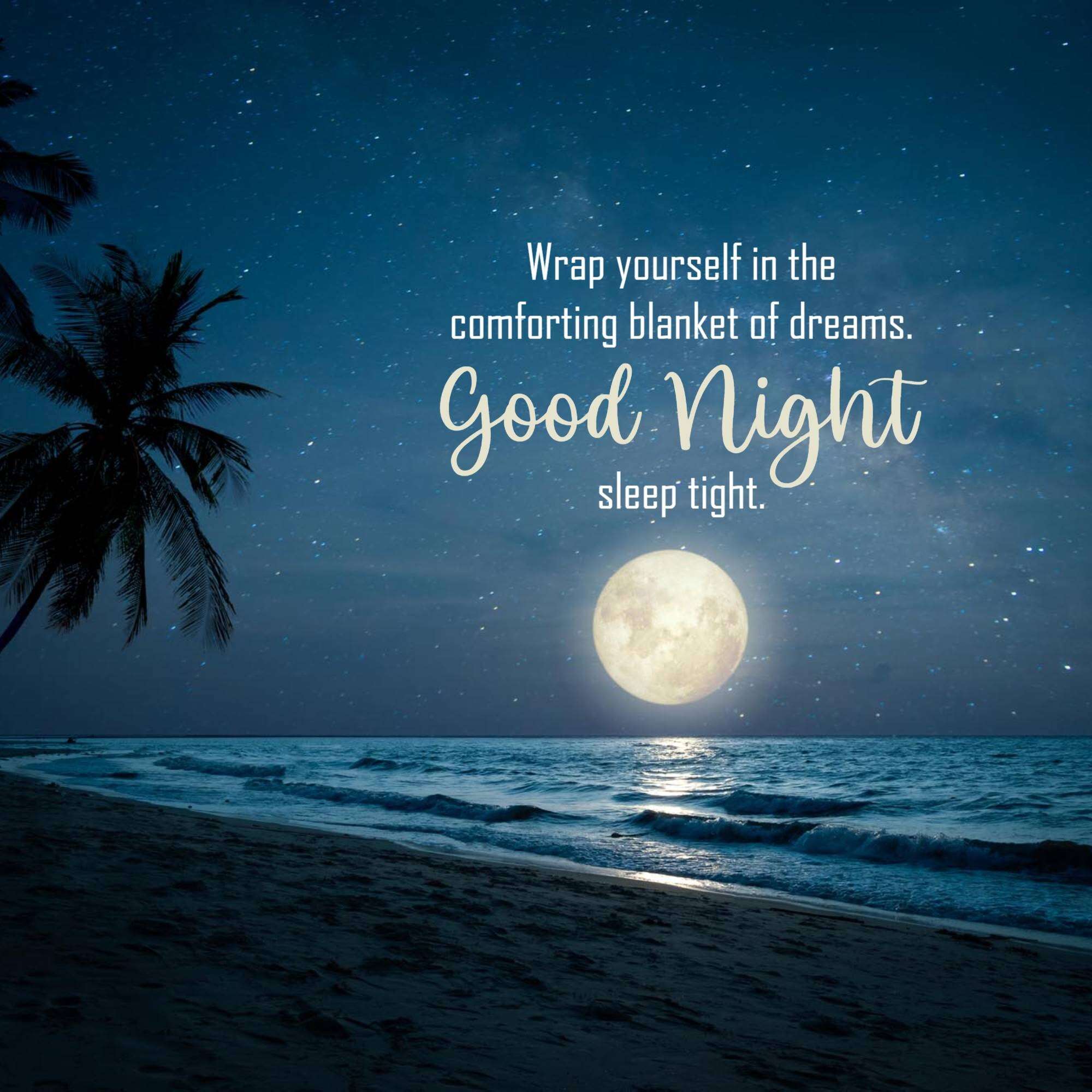 Good Night