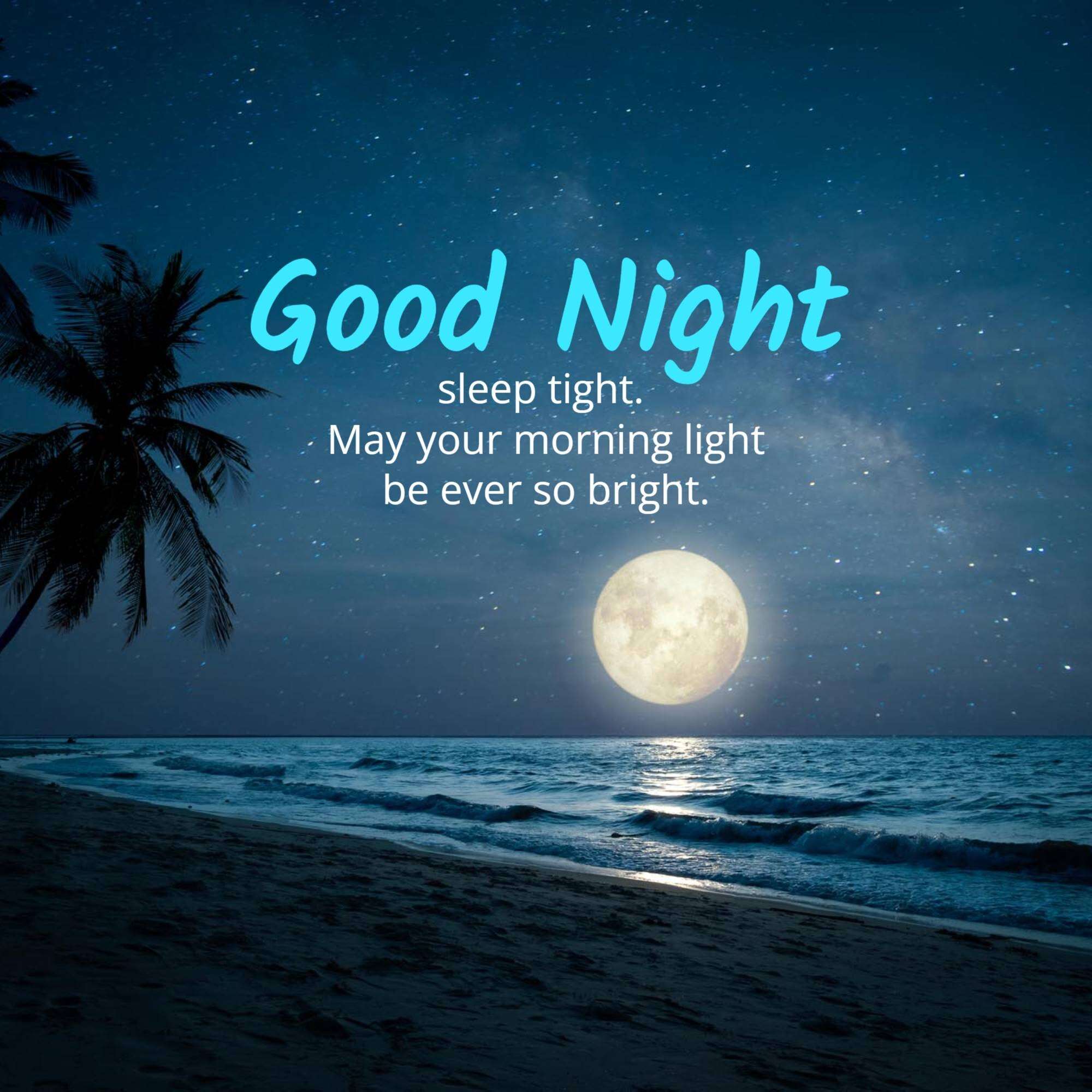 Good Night