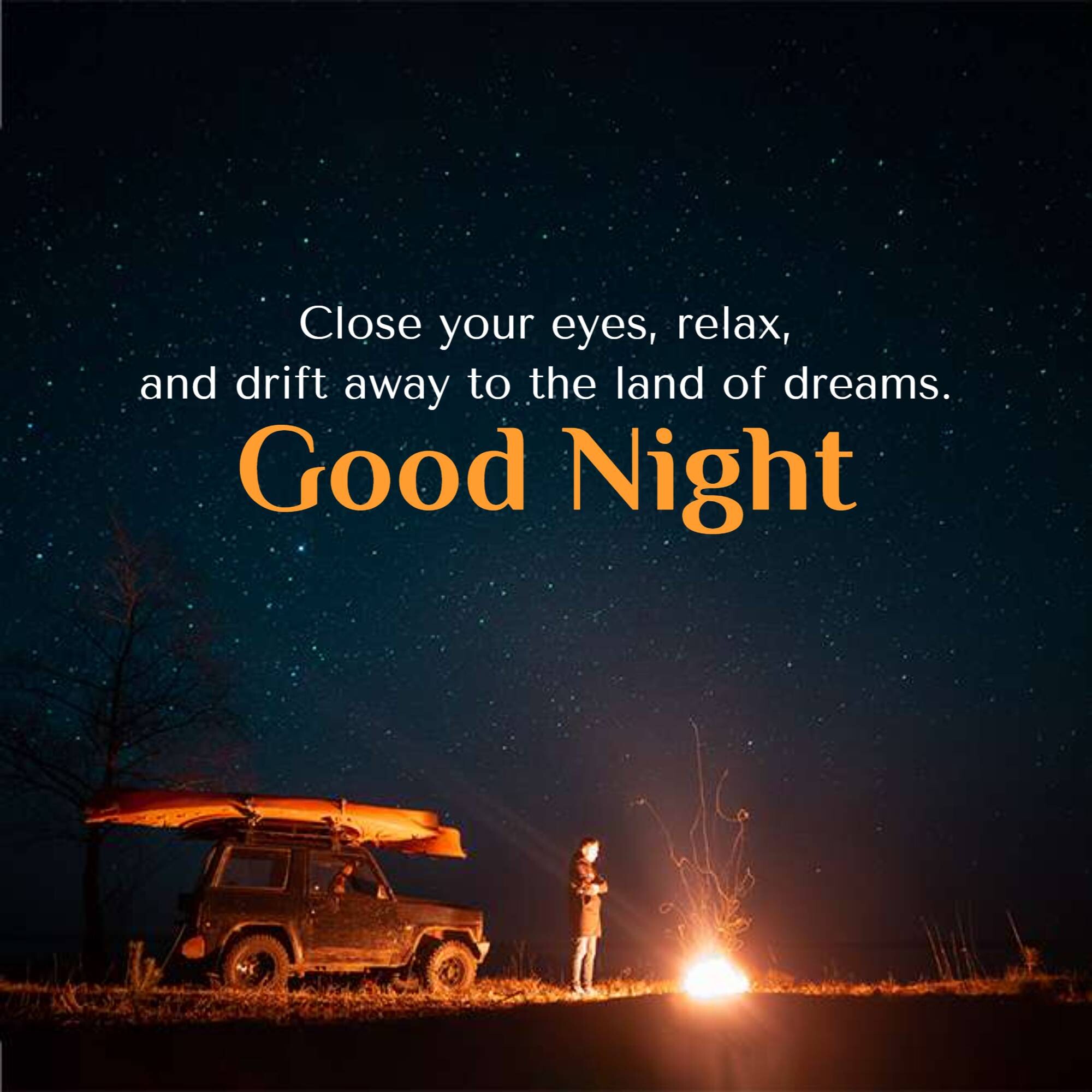 Good Night