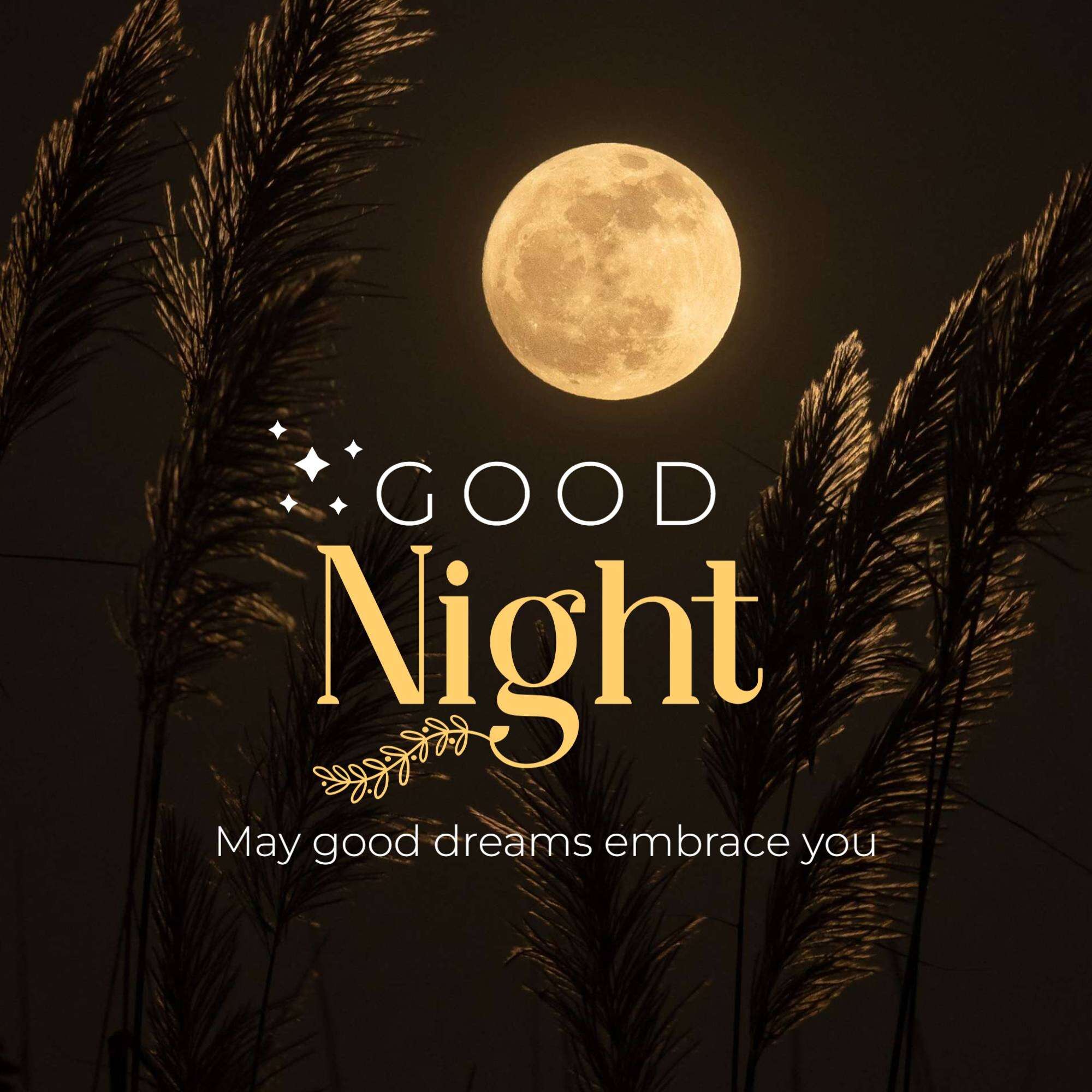 Good Night