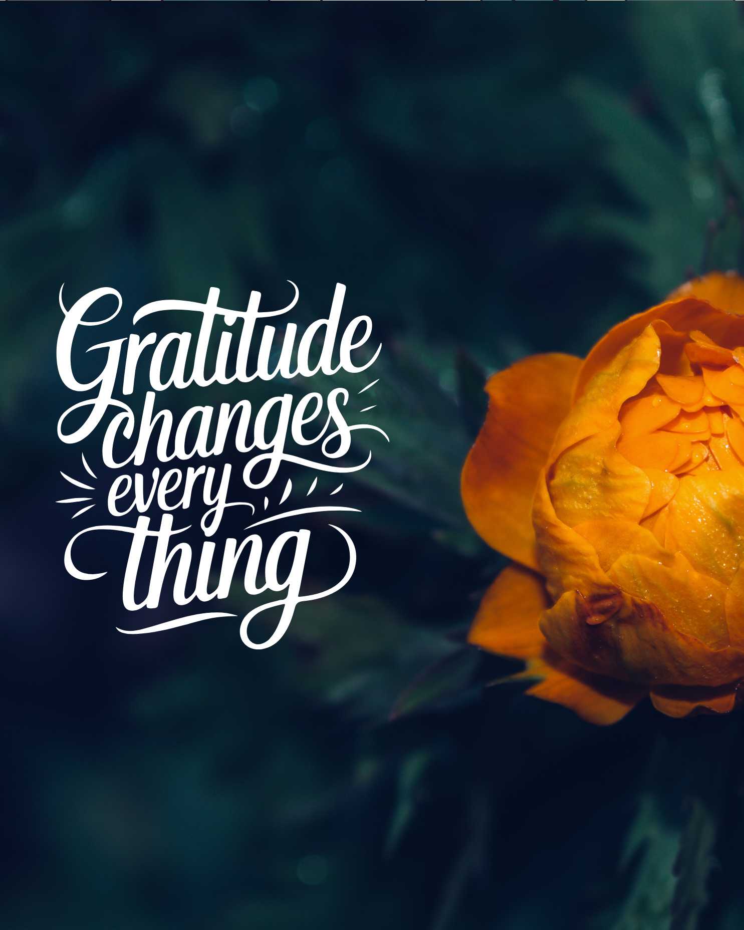 world_gratitude_day