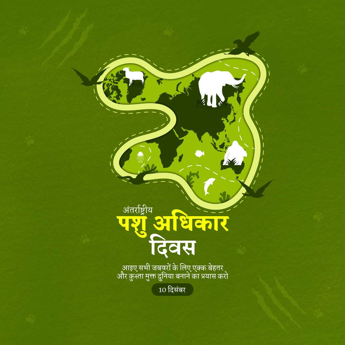 international_animal_rights_day