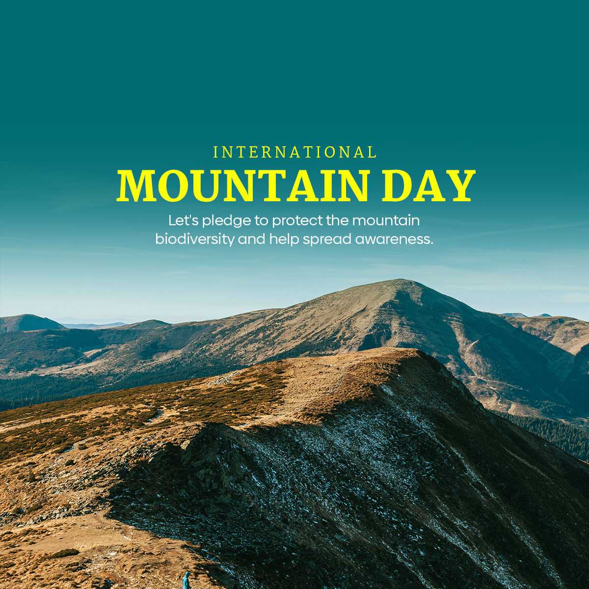 international_mountain_day